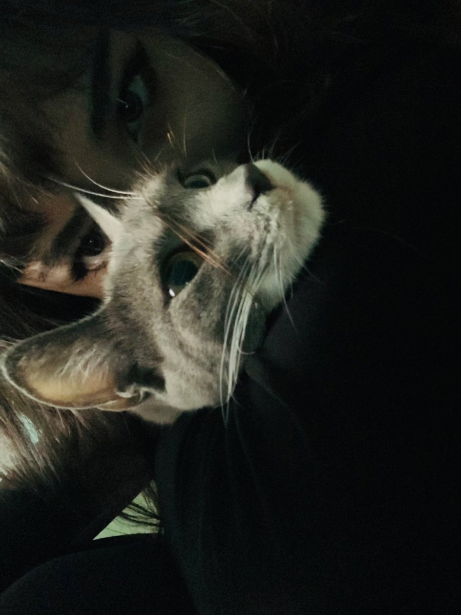 princessnymm's tweet photo. cute aggression https://t.co/Py8V3VU08v