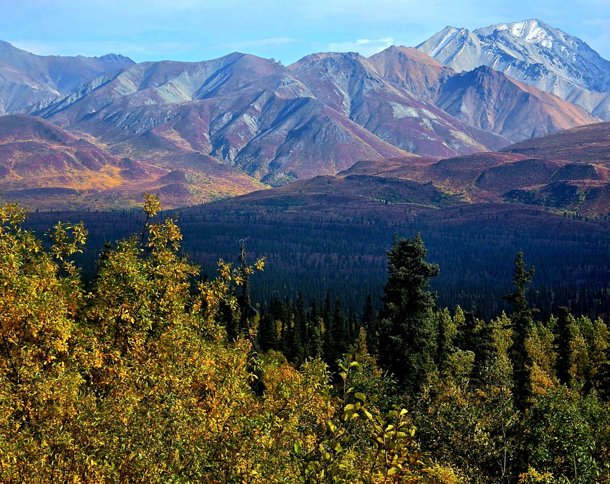 Carriebou50's tweet photo. The Alaskan tundra turns first. Then the mountains remember winter. https://t.co/NBfQ3n9RtJ