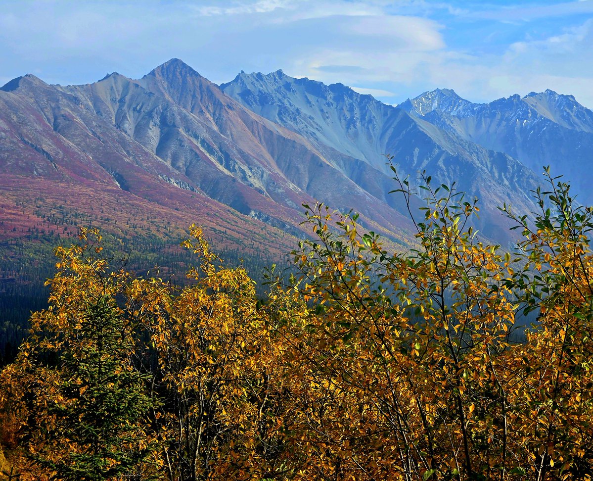 Carriebou50's tweet photo. The Alaskan tundra turns first. Then the mountains remember winter. https://t.co/NBfQ3n9RtJ
