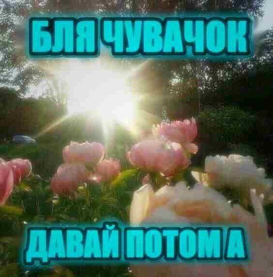 kisyuliaaaskull's tweet photo. https://t.co/RGvYI90Q0A
