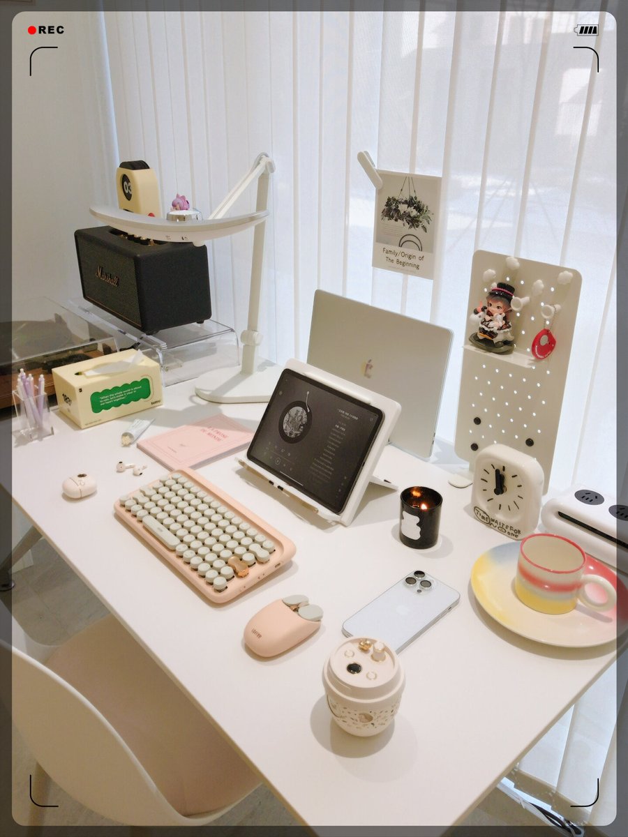 WileyRochepf's tweet photo. Just traded my messy work desk for a cozy home nook with fresh plants and soft lights—small shift, huge daily vibe boost ， https://t.co/BL6A3tni5l