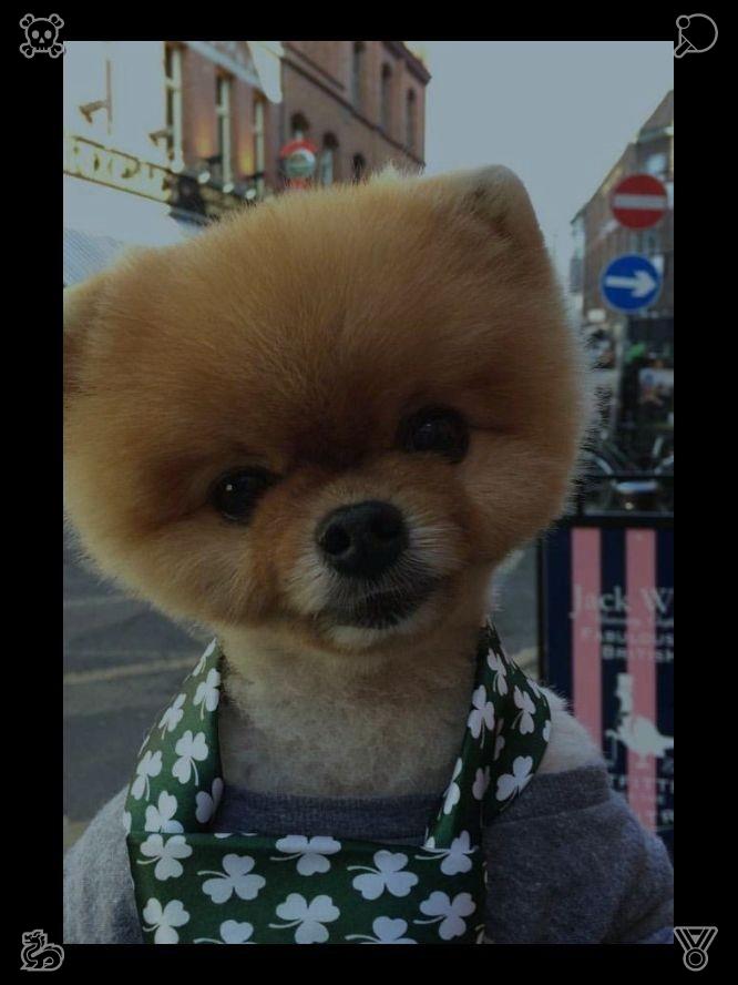 maynard1224's tweet photo. At the airport, Mia and Leo came to bid her farewell, embracing her and urging her to jot down plenty of observations and capture many pictures. "You'll be in our thoughts," Mia murmured, brushing away a stray tear. Lila beamed, vowing to ring them daily and recount every esca https://t.co/JFlKBJGiPd