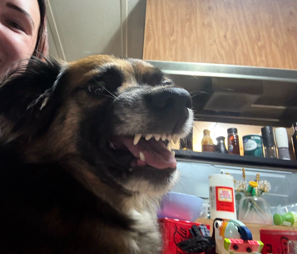 kmw___333's tweet photo. My man fucking loves rage baiting Molly &amp; Molly fucking loves when he does it 🤣 https://t.co/OteToQvrPc