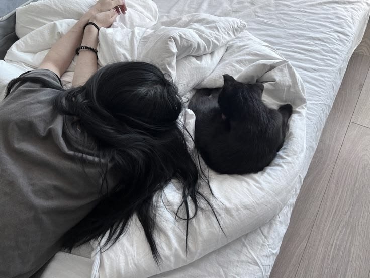 Lane_official1's tweet photo. Сегодня ничего интересного. Спала до обеда, а потом весь день книгу расшифровывала. 
Не сдвинулась ни на шаг, с расшифровкой в последнее врем, очень туго, Каин где-то лазит, помочь не может. https://t.co/qTfZKfj26w