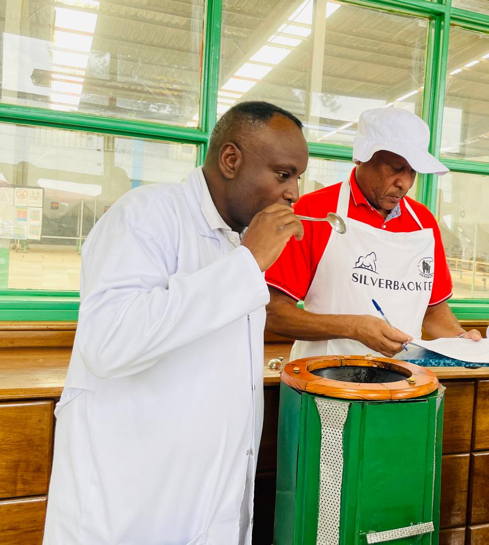SilverbackTea's tweet photo. The idea behind these sessions is primarily to align with each other on quality parameters of the teas we manufacture, and for factory personnel to easily and accurately interpret and correctly react to the regular tasting reports out of Kigali office. https://t.co/jv5oia4dME