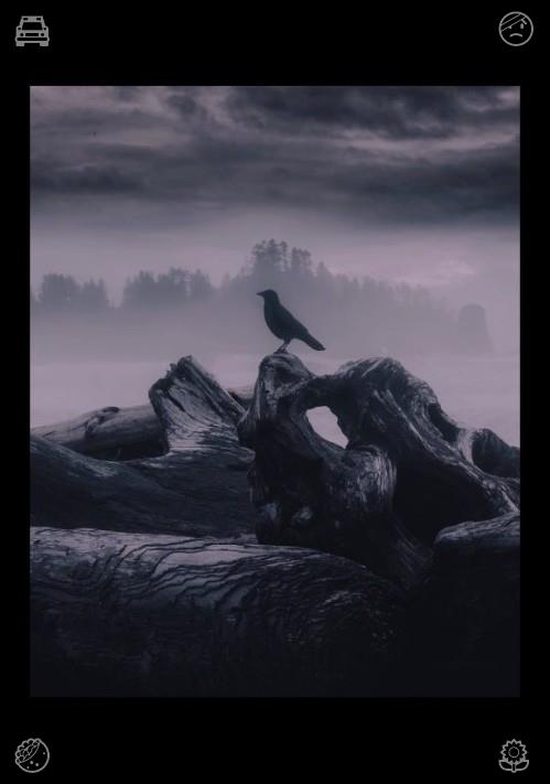 NuJanny26's tweet photo. 🥀Show kindness by spreading compassion. Cut back on pointless, mindless screen time to win back free moments. Put those regained minutes toward learning new skills, introspection, or relaxation to restore your drive for pursuing dreams. https://t.co/JDCPzdbxMn