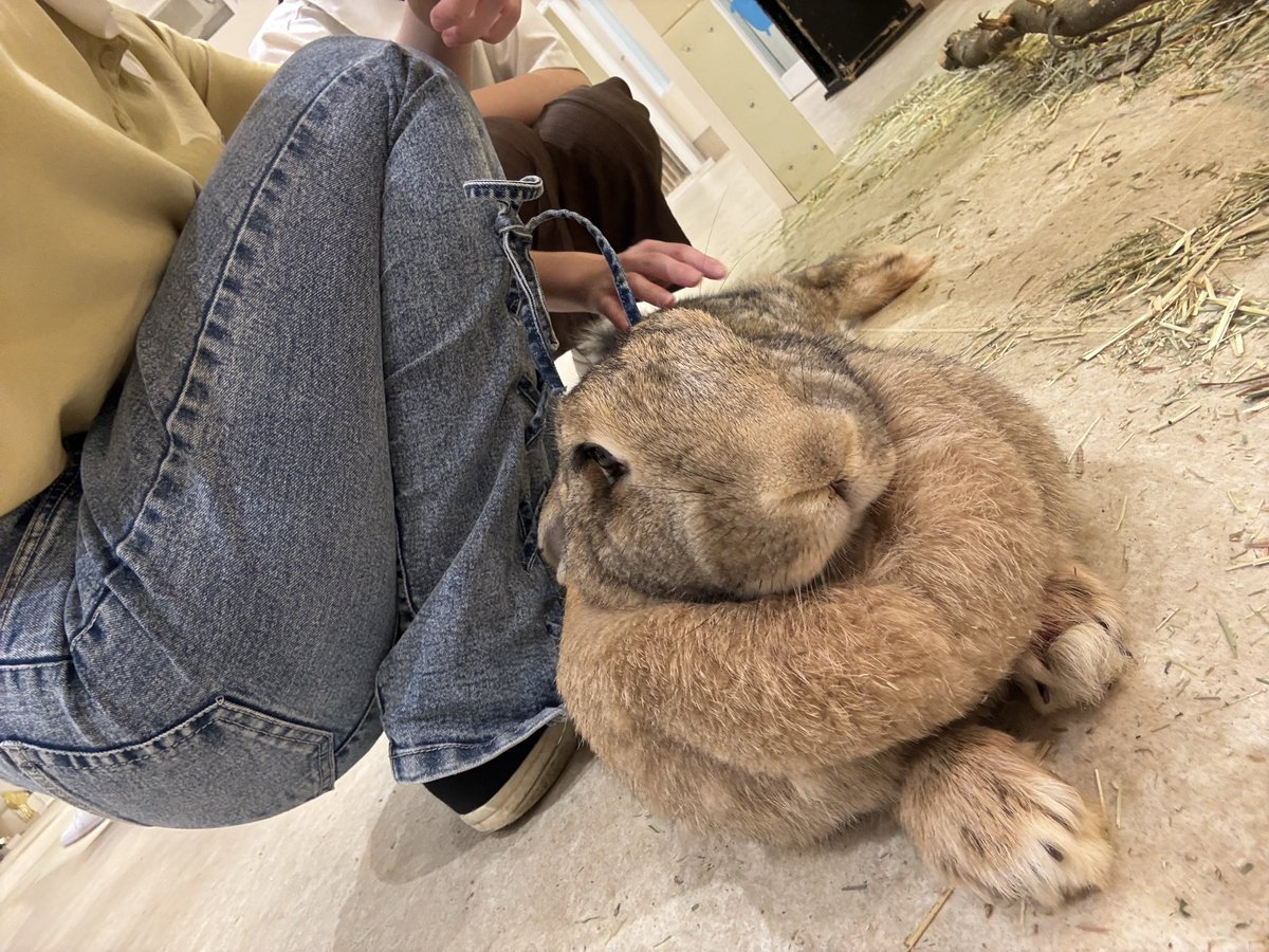 paka_chiroru's tweet photo. アニタッチめちゃくちゃ満足度高かった🥰
時間無制限なの神すぎる✨️ https://t.co/fYw3UTbpyd