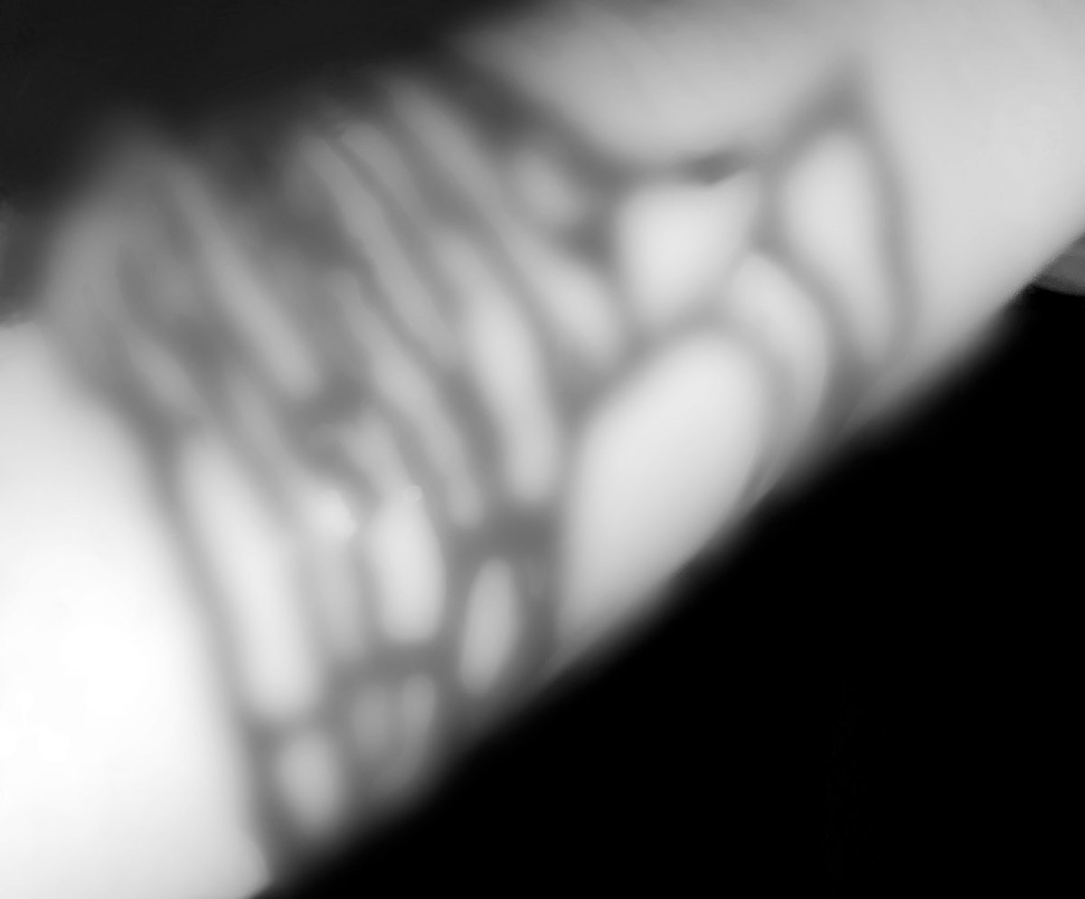 riko_overdose's tweet photo. 別搞我了別封我了行嗎 https://t.co/O2ErK7V2mt