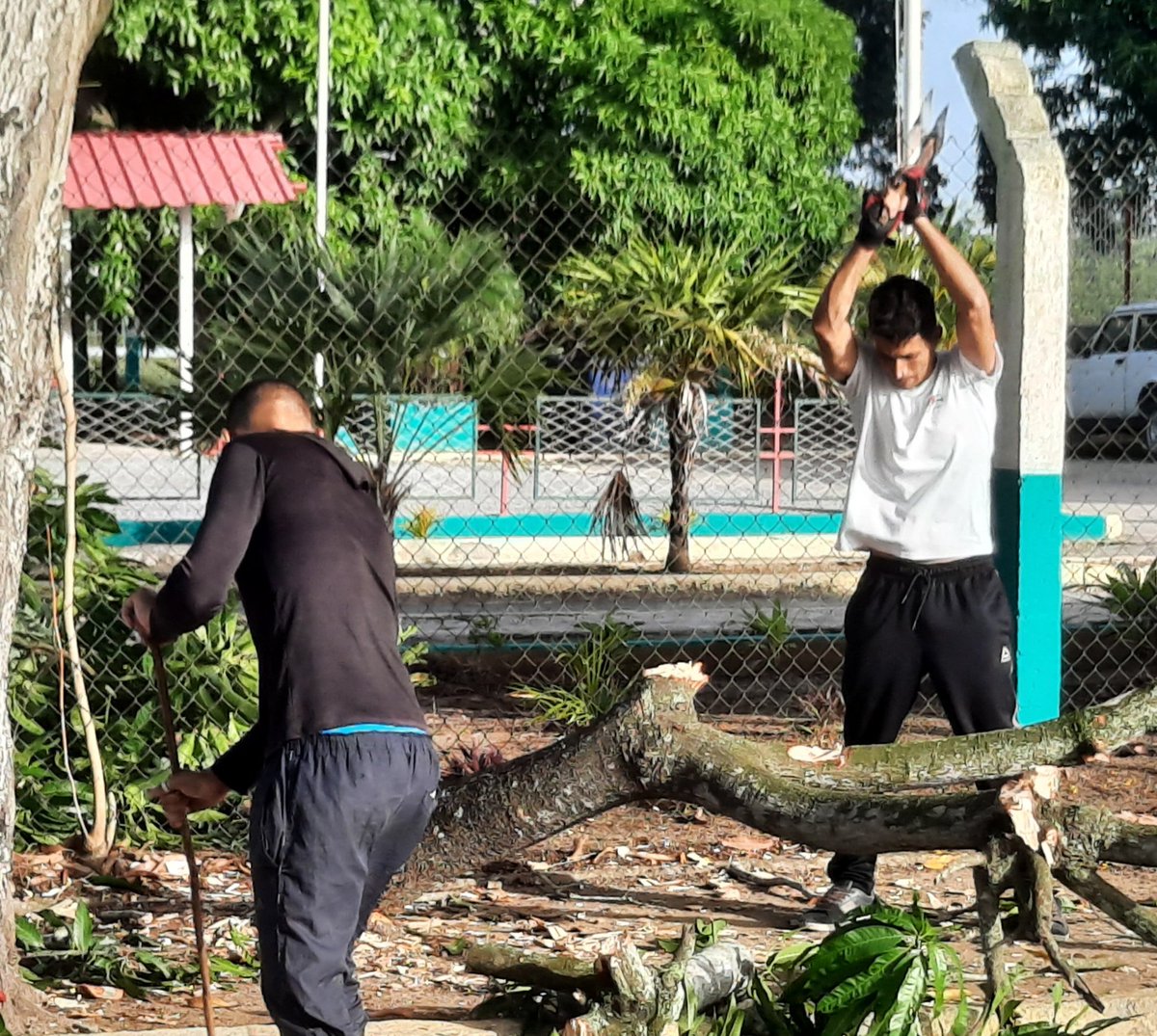 DTCCLasTunas's tweet photo. Labores de poda son acometidas por los petroleros de la DTCC Las Tunas, previendo la interacción de los árboles con el tendido eléctrico, lo que pudiera causar accidentes y perdidas económicas.
Demostrando que "En prever esta toda el arte de salvar"
#PetrolerosPorCuba
#ENCC https://t.co/fA5SqdhpYm