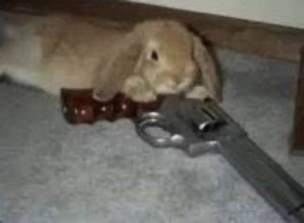 bunnyposting_'s tweet photo. bunny wants revenge https://t.co/wkwyFwKf3S