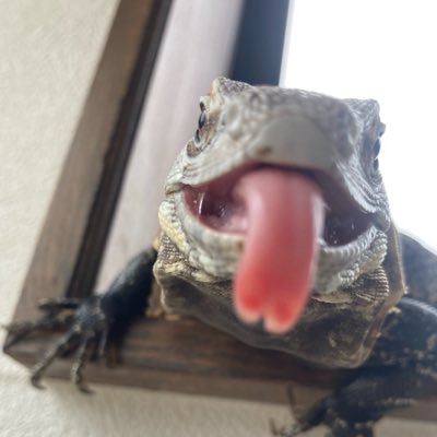 kosatsu_koju's tweet photo. #新しいプロフィール画像 https://t.co/A8AduYv8HW