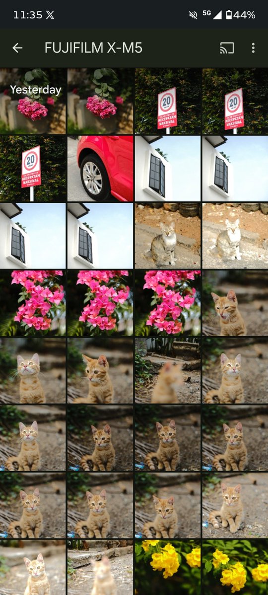 giantreinal's tweet photo. @Madariyanhadi Preview hasil foto Fujifilm X-M5 cakep banget warnanya https://t.co/jnQEOYLLsM