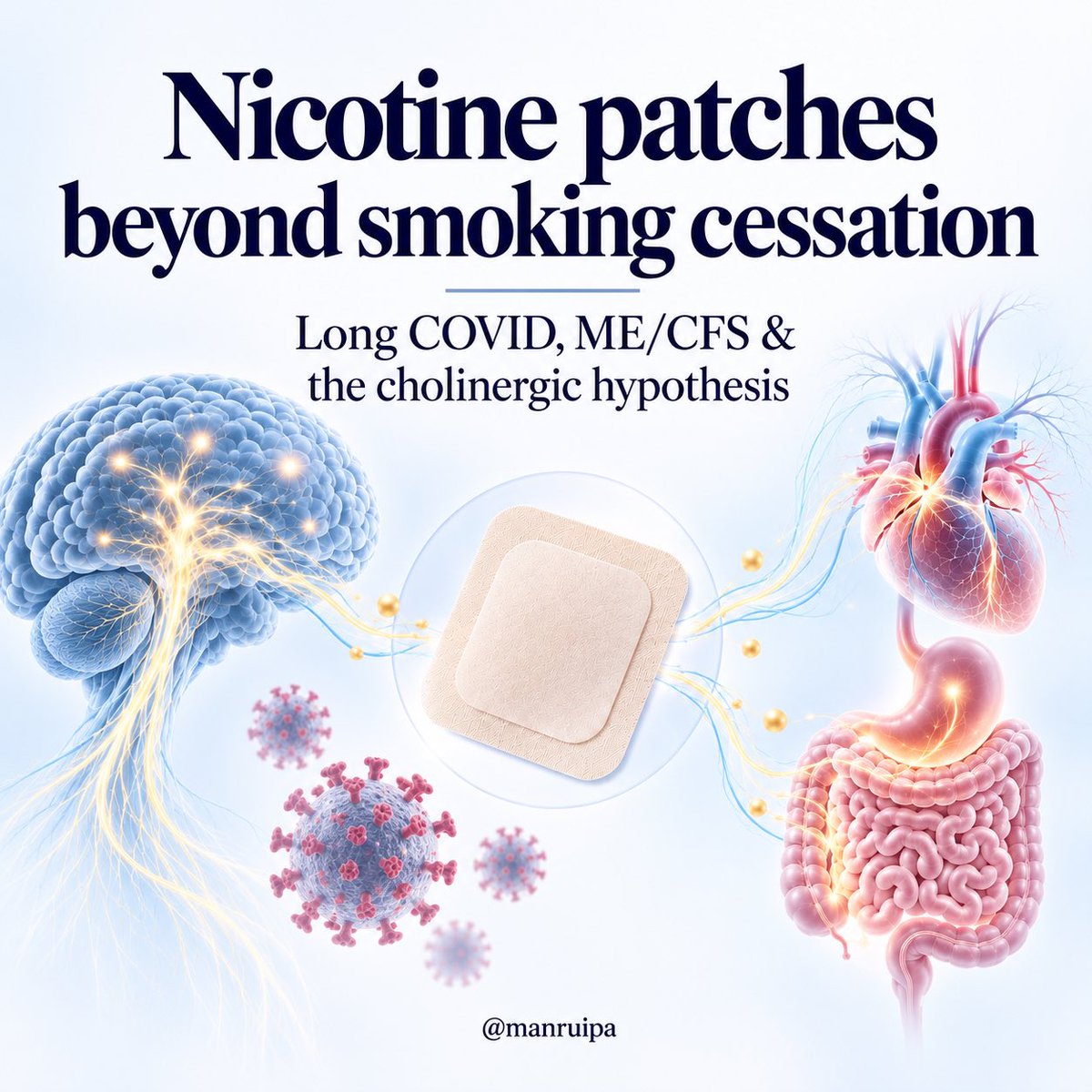 manruipa's tweet photo. 🔴 Nicotine patches beyond smoking cessation: why might they help some people with Long COVID or ME/CFS?

In recent years, nicotine patches have appeared increasingly often in patient communities, with some people reporting substantial improvements in fatigue, brain fog, dysautonomia, or even PEM.

The hypothesis is particularly interesting because it connects neurotransmission, the autonomic nervous system, inflammation, immunity, and possibly viral persistence.

But some of the claims surrounding it have also gone considerably further than what the studies actually show.

Where did this idea come from? Why might it work? And what do we really know?

A thread. 🧵

1/23