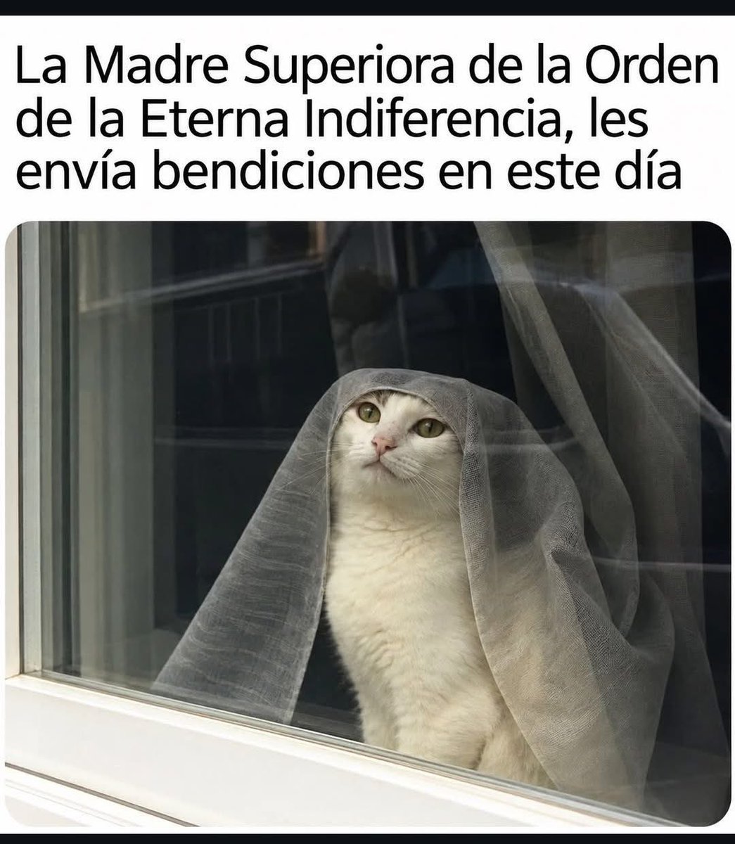 lausaysmeow's tweet photo. Feliz inicio de semana, amixers. 🙏 https://t.co/obZWGqIeXx