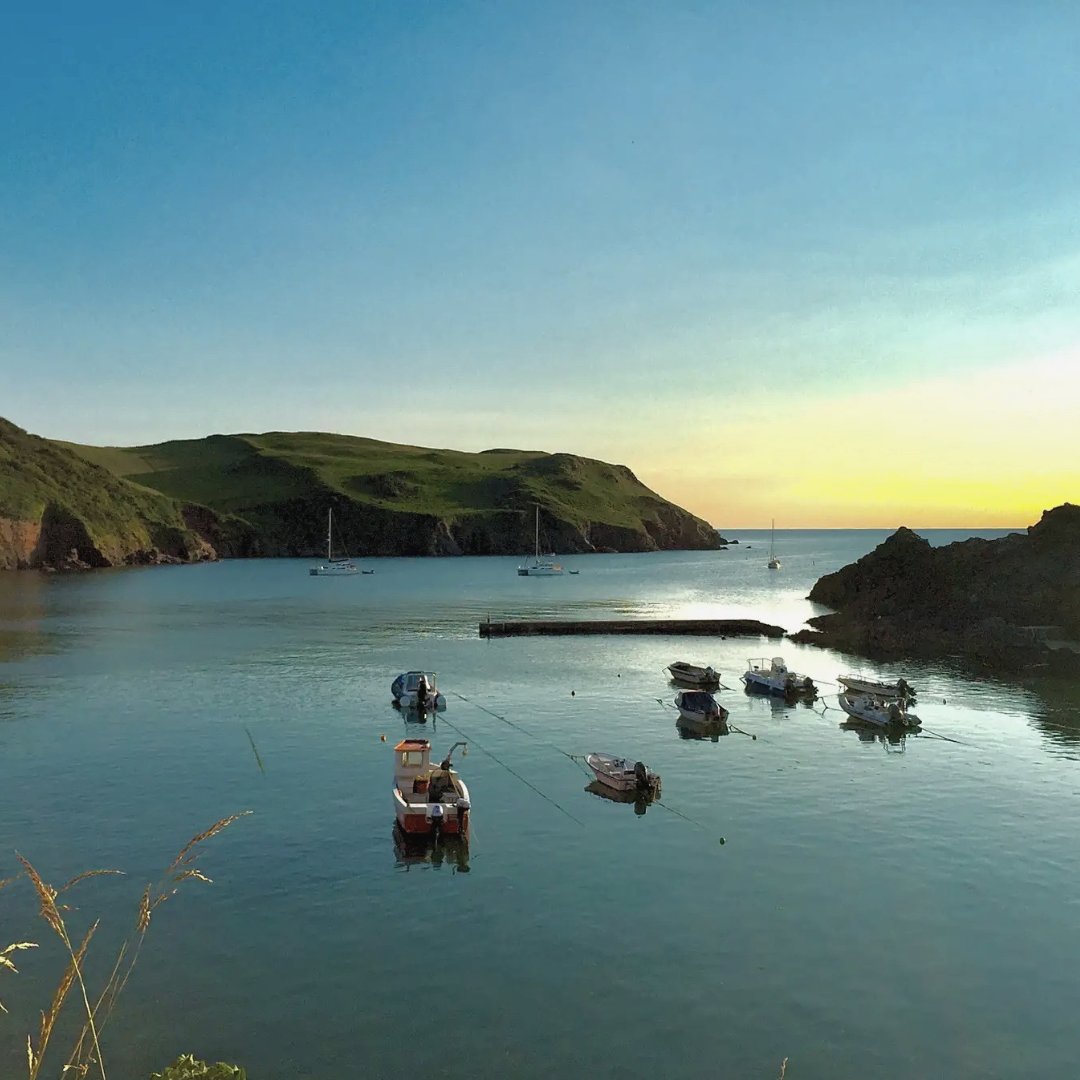 pitchup's tweet photo. A campsite where sunsets have a peaceful English Channel backdrop. 
Karrageen Caravan and Camping Park is five minutes from Hope Cove, with coastal walks, beaches and #Salcombe all within easy reach.
https://t.co/mOHHN7XYuQ https://t.co/GSYAUDlHCi