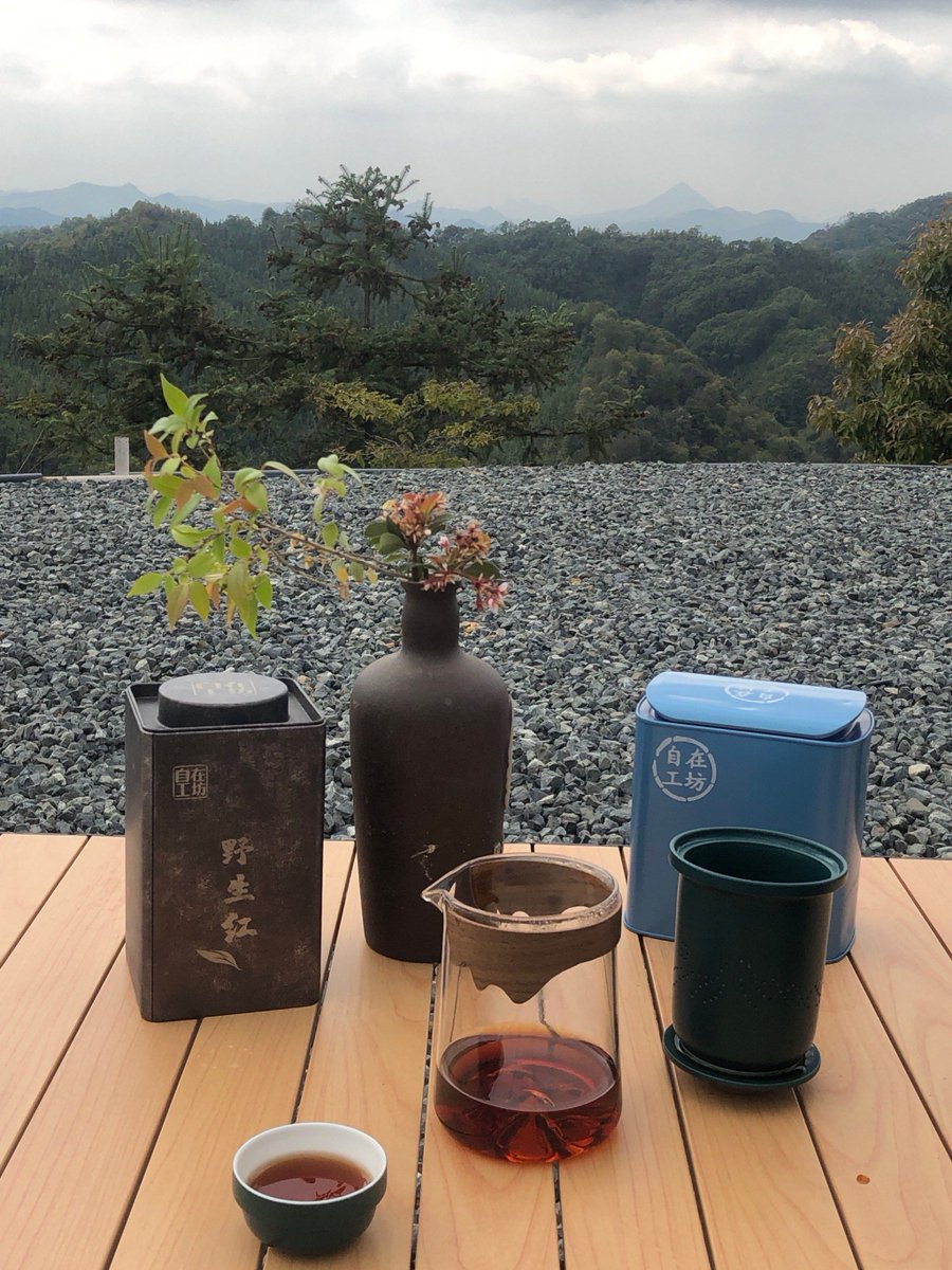 pjibyu's tweet photo. Woke up to sunlight filtering through pine branches, fresh coffee in hand, and only the sound of birds. This quiet camping magic hits different , no city noise to ruin the mood. Just pure, slow, perfect outdoor time. https://t.co/u2W4OjlJcE