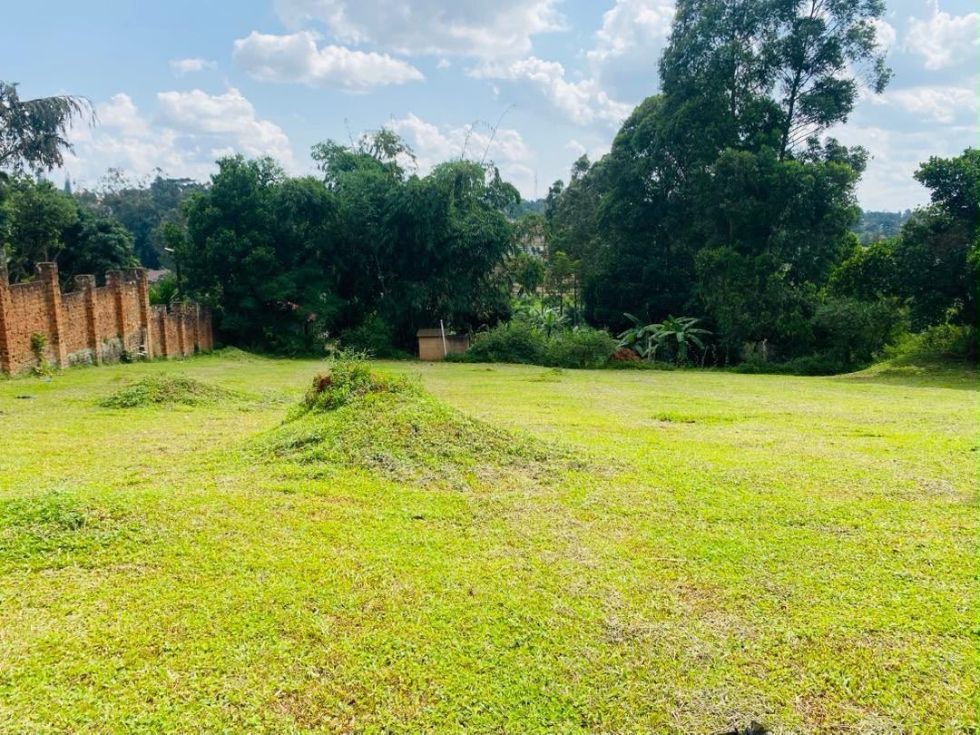 Tuzzaproperties's tweet photo. 0.99-acre vacant land for sale in Mpererwe/Namere, Kampala, with a Private Mailo title, approximately 1 km from the main road, water and power available, asking UGX 600M Negotiable! 

Call/WhatsApp: 0754749093 https://t.co/YhDkyAxyhg