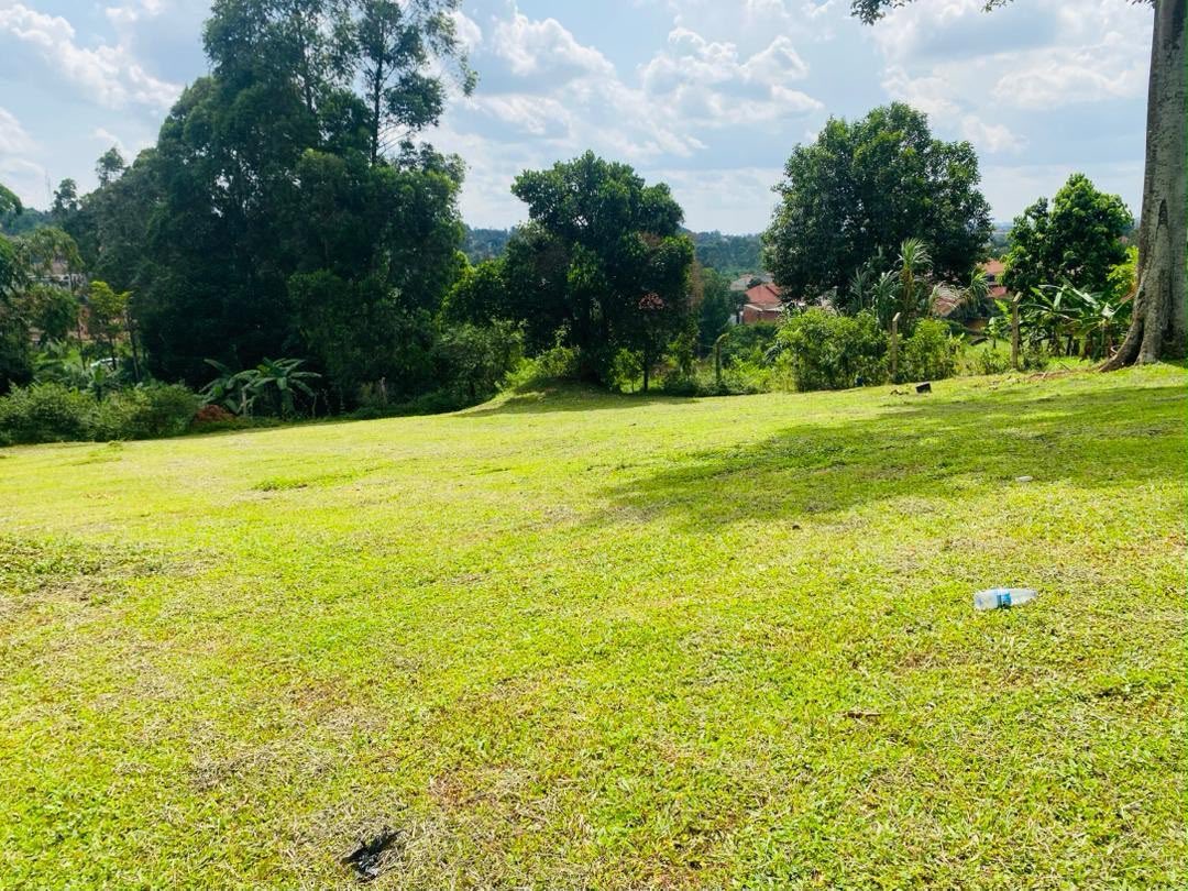 Tuzzaproperties's tweet photo. 0.99-acre vacant land for sale in Mpererwe/Namere, Kampala, with a Private Mailo title, approximately 1 km from the main road, water and power available, asking UGX 600M Negotiable! 

Call/WhatsApp: 0754749093 https://t.co/YhDkyAxyhg