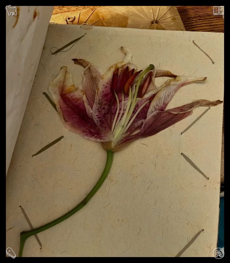 jonathanfm97's tweet photo. 🚙Bowl of eggplant and mushroomsEleanor is reading aloud from her mother’s book when a little boy settles next to her, listening intently, his eyes wide. After she stops, he says, “My mom died too. Could you read one more chapter? I miss hearing her voice.” https://t.co/AxOxgaGmYB