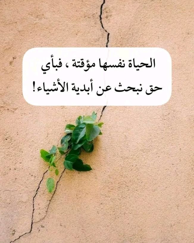A____2_x's tweet photo. أيُّ وهمٍ هذا الذي يستبدُّ بنا حين نظنُّ أنَّ الترابَ ينجبُ خالداً
أو أنَّ ما مرَّ سريعاً كالسحابِ يملكُ أن يستقرَّ في قرارِ الديمومة؟
إنها دارُ عَبورٍ لا دارُ قَرارٍ
فمن رضيَ بالمؤقتِ خفَّتْ حقائبُه
ومن نازعَ الأبديةَ في عقرِ فنائها أهلكتهُ لوعةُ الانتظار
فدعِ الأشياءَ تمضي لسلامها
وكن طليقاً خفيفاً كأنك لم تكنْ
وكأنَّ ما سوى اللهِ باطلٌ لا يُؤْبَهُ له.
