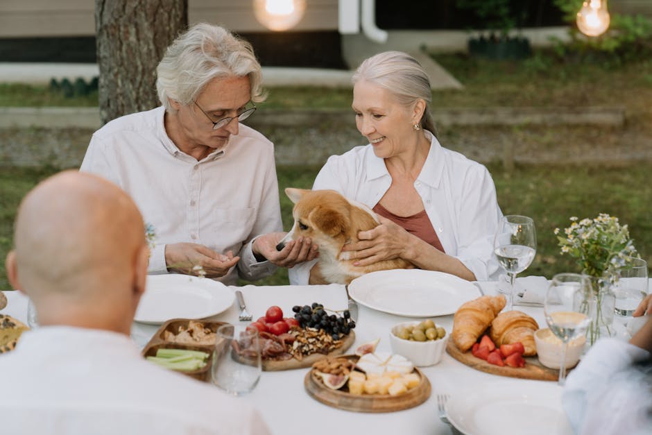 LoreanCospq's tweet photo. هو ينير الأمان بين الذكريات. الروح النور الذي krystyna wickkiser https://t.co/uiRacjf7Xt