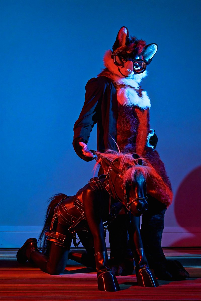 SignumEquus's tweet photo. Good boys deserves all our attention and love 😘❤️‍🔥🐴 

Gear: https://t.co/m2Lc8K1cOY
Fox: @SexiestScarlett
Pony: @wetsuitstallion
Photographer: @dire_walf https://t.co/brcVXAGEbw