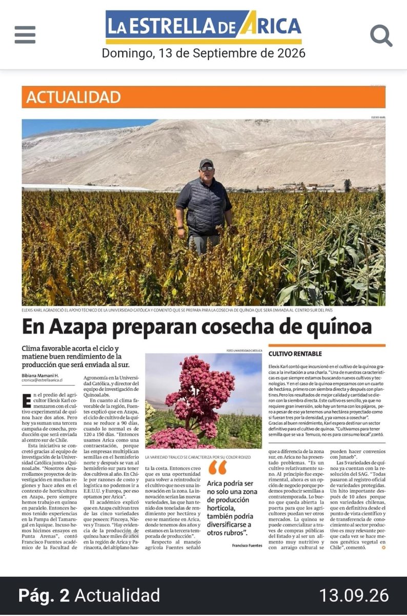 QuinoaLab's tweet photo. 📢 La #quinoa avanza en el Valle de Azapa! https://t.co/lLndUqP17R
