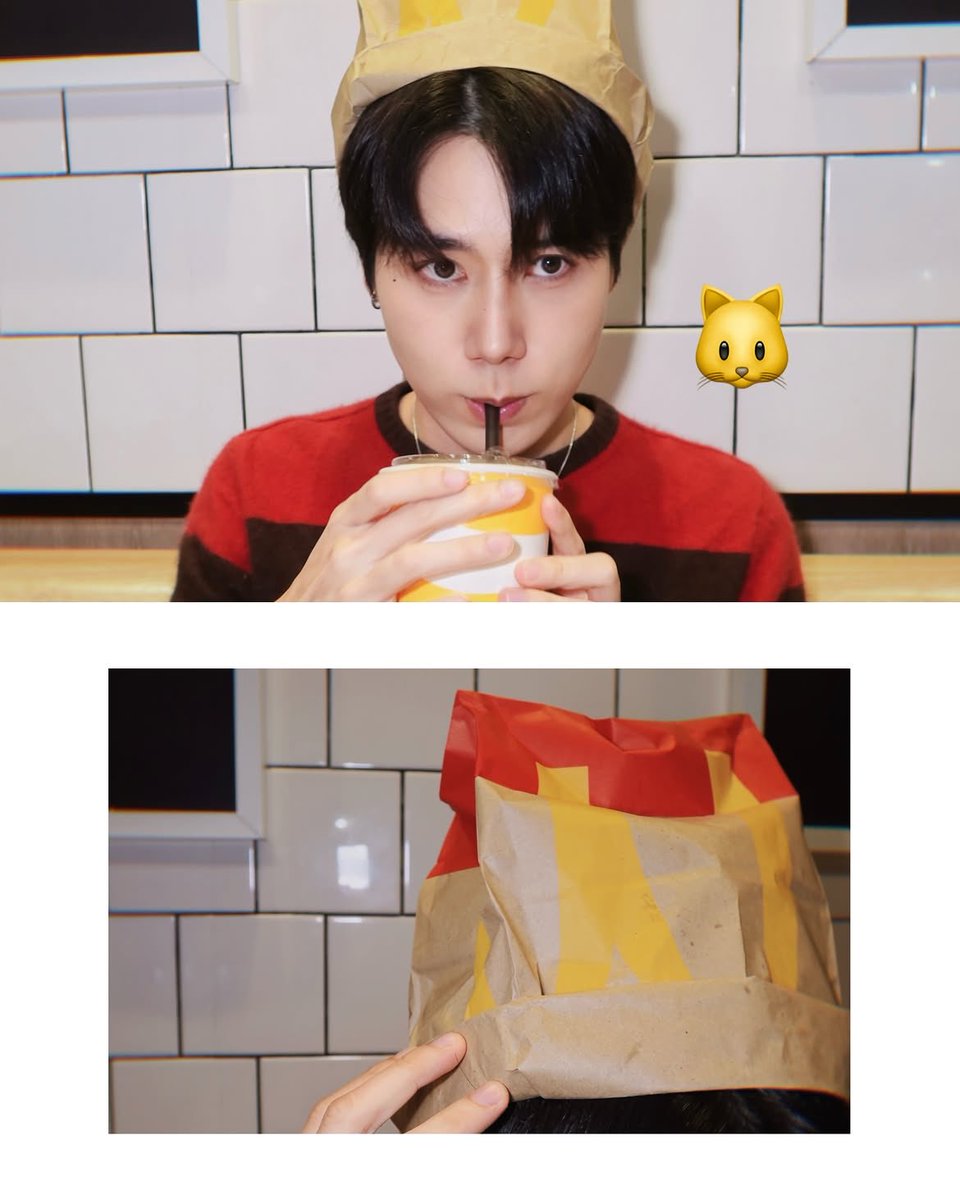 Petchpigz_JFC's tweet photo. petchpigz IG 14.09.2026 更新
①🐱🍟
https://t.co/S2ZkYl1vN2
マクドナルドのフレンチフライや紙袋で猫ちゃんになるトレンド。Petch🐱可愛すぎる…❤️💛
#Petchpigz #ลูกหมูของเพชร
#Mckitty #trend https://t.co/nDN5qQIqff