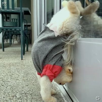 mayjune39's tweet photo. Knowing you belong to me brings tranquility to my spirit in the midst of life's turmoil; a heavy quilt of comfort envelops me, crafted from the steady, gentle affection we share each day. Even minor factors (pace, intensity) influence the outcome🍑 https://t.co/2od3QCQggf