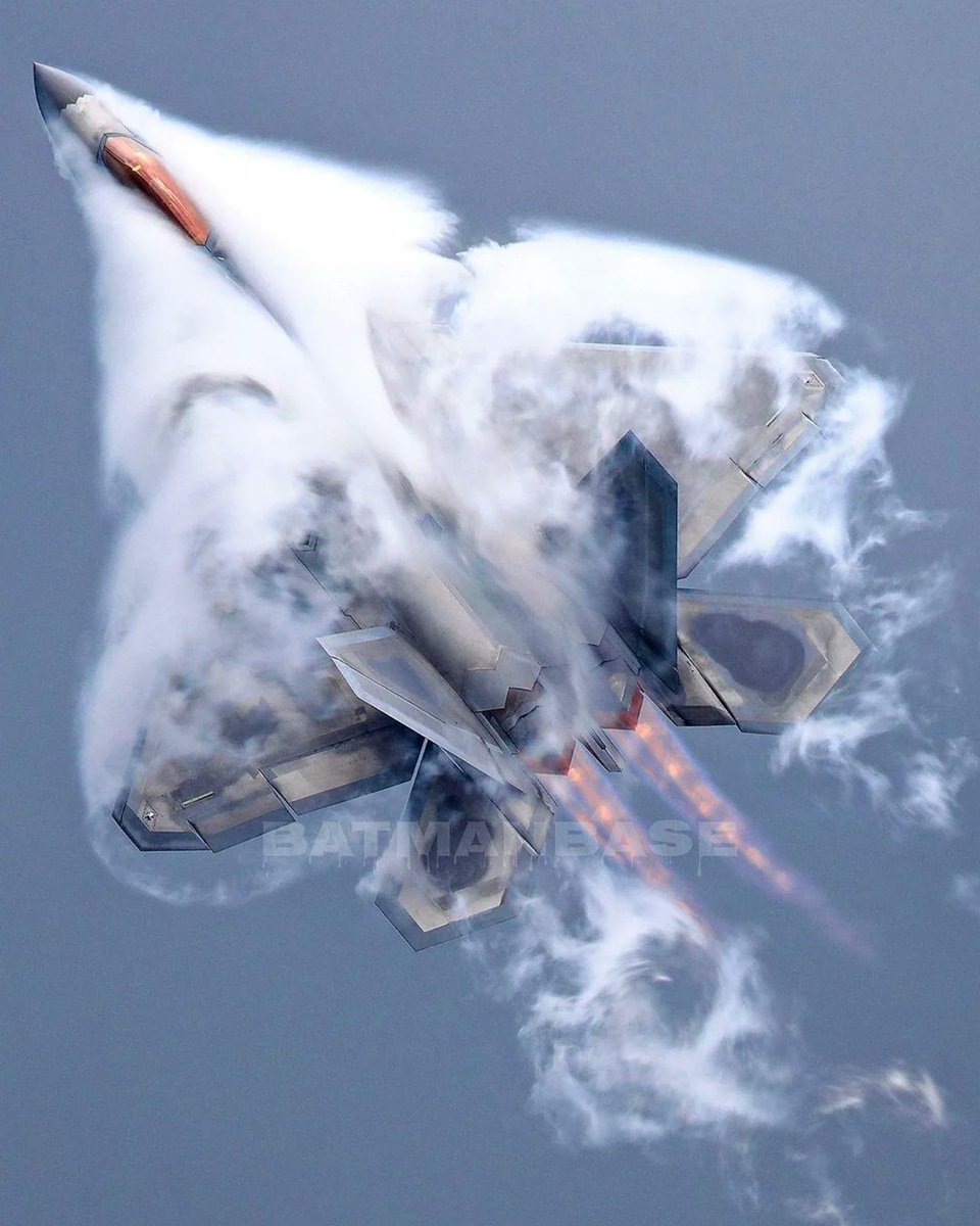 PASU_MATRIX's tweet photo. Raptor in the clouds. https://t.co/uYYD456xOb