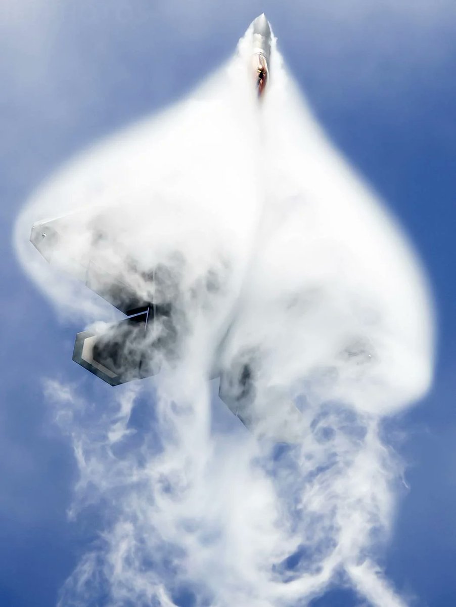 PASU_MATRIX's tweet photo. Raptor in the clouds. https://t.co/uYYD456xOb