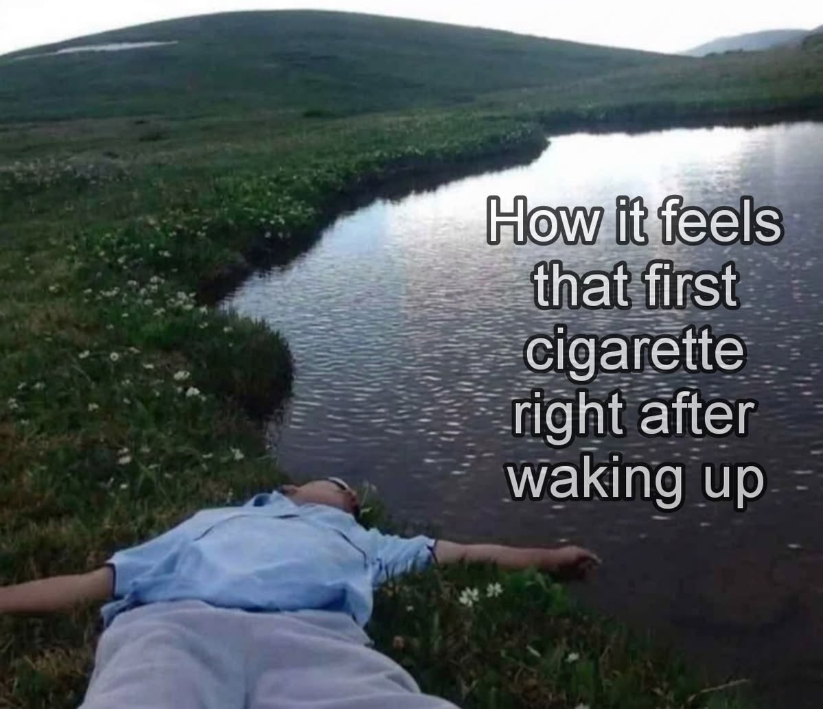 SleeppyGuy's tweet photo. https://t.co/q8YM0B5cne