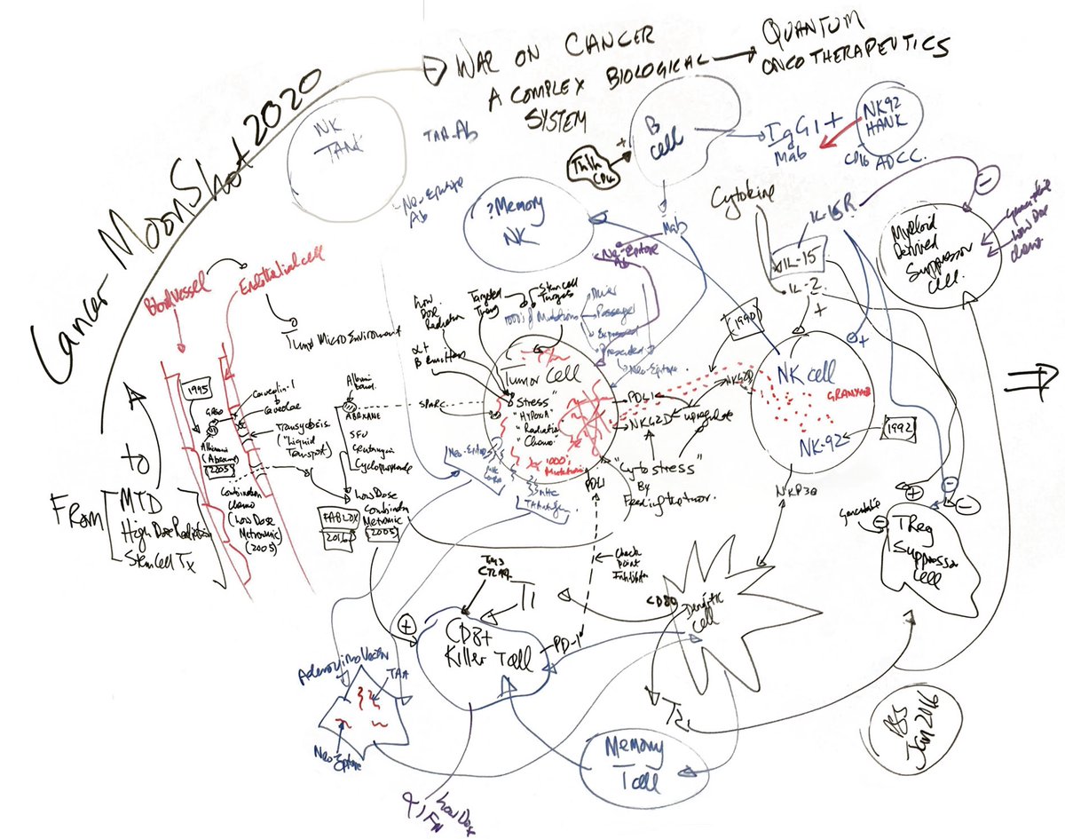 DrPatrick's tweet photo. The most precise cancer target ever discovered is not a drug company's molecule. It is the neoepitope... The mutation only your tumor carries, invisible to normal cells. Find it and present it. Let the immune system do what it was evolved to do. Our cancer moonshot coming to fruition.