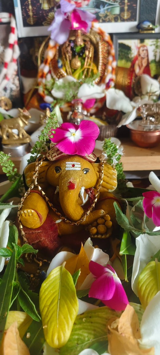 suprith_b's tweet photo. गणेश चतुर्थी शुभाशयाः to all āstikas. This year our vallabha gaṇapati turned out to be a seṭu angadi owner. https://t.co/bnuu4YPYkZ