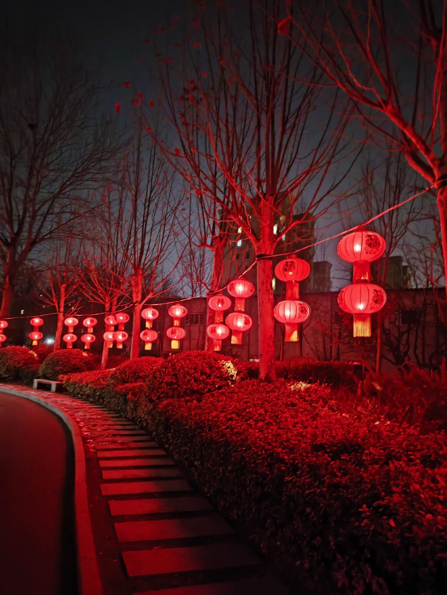 SyedSaimRaza4's tweet photo. The holiday lanterns are lit, wrapping the whole street in warm gold—may every small wish of yours come true this festive season https://t.co/y0dUw6YqYh