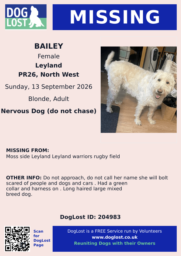 millypod1's tweet photo. 🆘13 SEPT 2026 #Lost Bailey #ScanMe
Cross Breed Female. Nervous Dog (do not chase)
Had a Green collar and harness on.
Moss Side #Leyland, Leyland Warriors Rugby Field #Leyland #Lancashire #PR26
https://t.co/890pbdfxsy https://t.co/SEwBkKd9bl