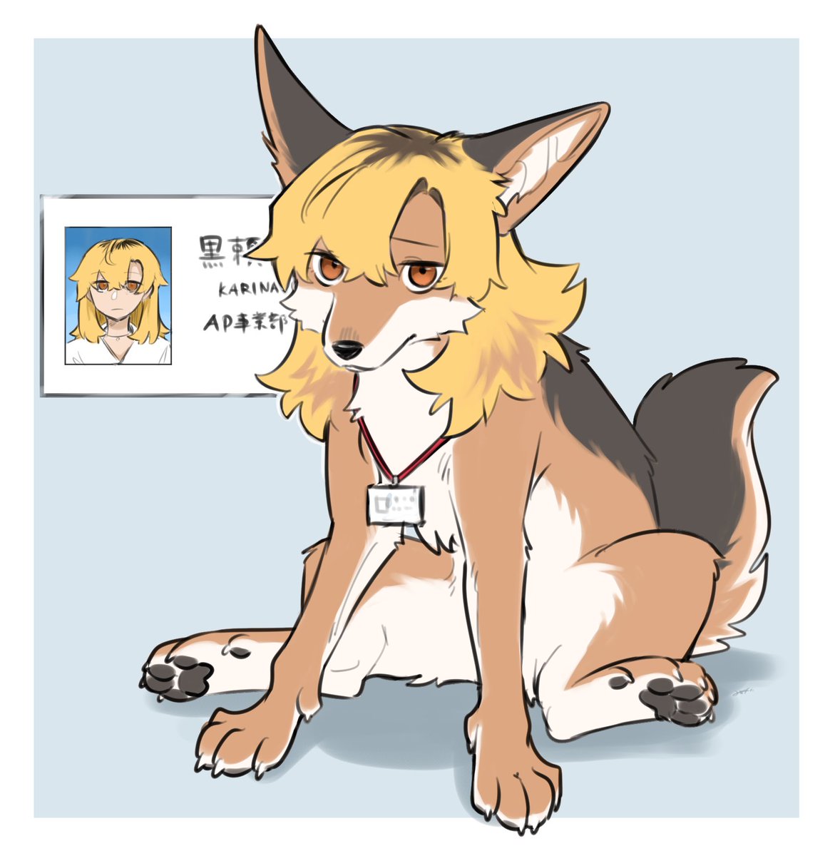 Diga_foxdog's tweet photo. かわいいね https://t.co/5AAmX5CGYE