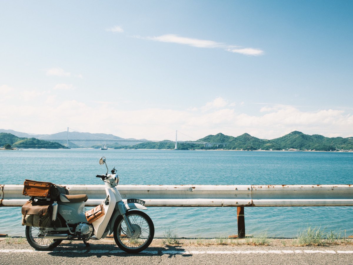 naotokirimare's tweet photo. FUJIFILM X100Ⅵ https://t.co/f181BuLiEM