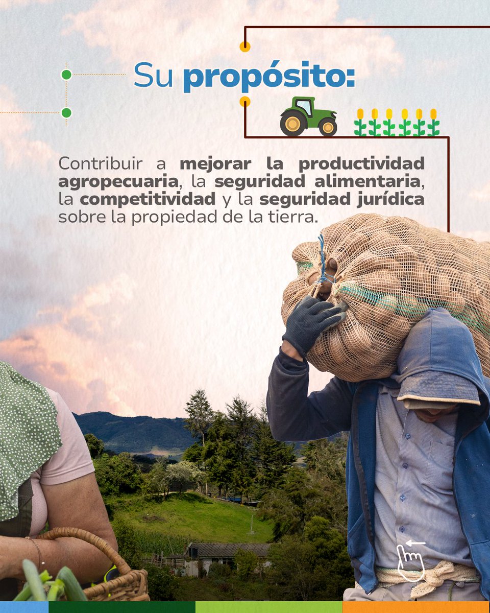 UPRAColombia's tweet photo. #UPRATeExplica | Planificar el campo no es solo un trabajo técnico; es el camino para fortalecer el esfuerzo de quienes alimentan a Colombia y potenciar sus resultados en el territorio.🌾🇨🇴
Los Planes de Ordenamiento Productivo (POP) desarrollados por la #UPRA son una hoja de ruta a 20 años, construida de manera participativa, para impulsar el desarrollo del campo, fortalecer la producción de alimentos, cuidar el ambiente, y generar más oportunidades para los productores rurales.📊🌱
Liderado por el @MinAgriculturaCo y formulado por la #UPRA y los actores de cada cadena. A la fecha, 11 cadenas productivas ya cuentan con su propio POP:
🌾 Arroz
🥔 Papa
🪵 Forestal comercial
🥩 Cárnica bovina
🥛 Láctea bovina
🐟Acuicultura para consumo humano (tilapia, trucha, cachama y camarón)
👉 Desliza el carrusel y descubre cómo funciona este instrumento que brinda información técnica para construir el #CampoMilagro
