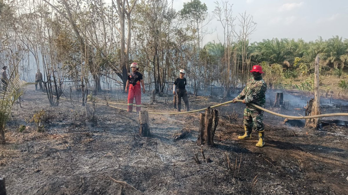Kodimpaser's tweet photo. Personel Koramil Muara Samu Bersama Satgas Karhutla Cegah Penyebaran Kebakaran Melalui Pendinginan

Babinsa beserta personel Polsek dan Damkar Muara Samu laksanakan pendinginan di titik api. 

#tniad #kodimpaser #muarasamu #satgas #karhutla https://t.co/Ed3qBWO0Ci