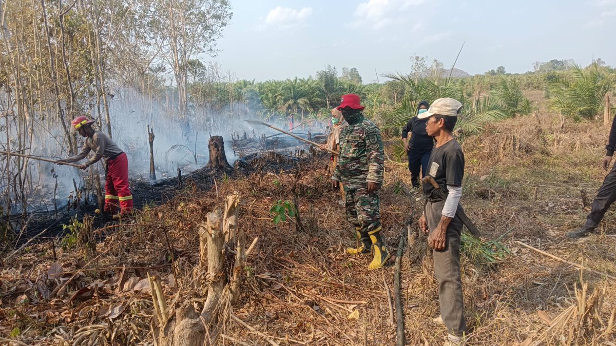 Kodimpaser's tweet photo. Personel Koramil Muara Samu Bersama Satgas Karhutla Cegah Penyebaran Kebakaran Melalui Pendinginan

Babinsa beserta personel Polsek dan Damkar Muara Samu laksanakan pendinginan di titik api. 

#tniad #kodimpaser #muarasamu #satgas #karhutla https://t.co/Ed3qBWO0Ci