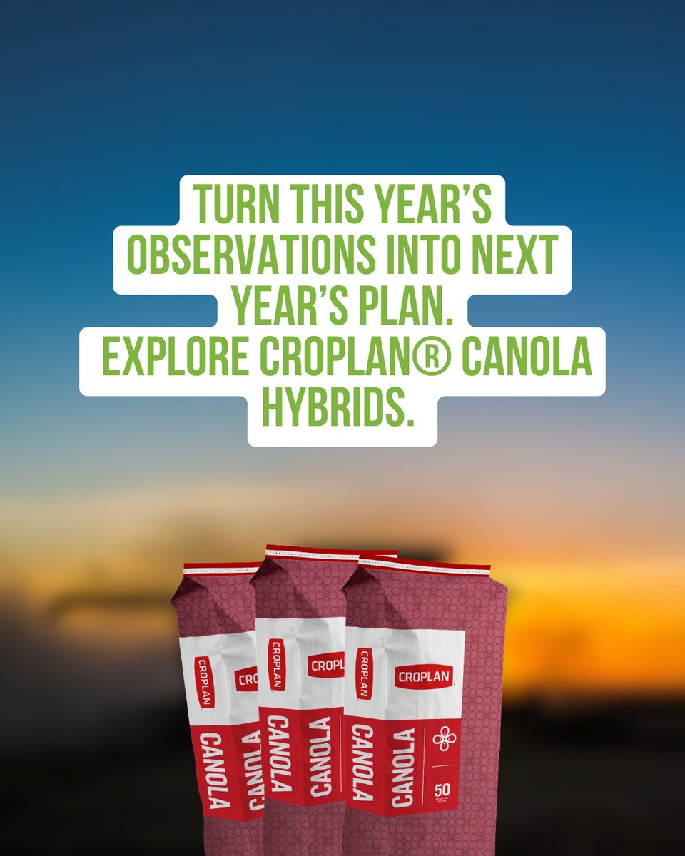 SWT's tweet photo. CROPLAN® offers a range of hybrid options with different maturities and herbicide systems to fit different acres and management plans.
See something you’d like to improve next season? Talk to the SWT team about your 2027 CROPLAN canola options. https://t.co/9lsUS8CPB0