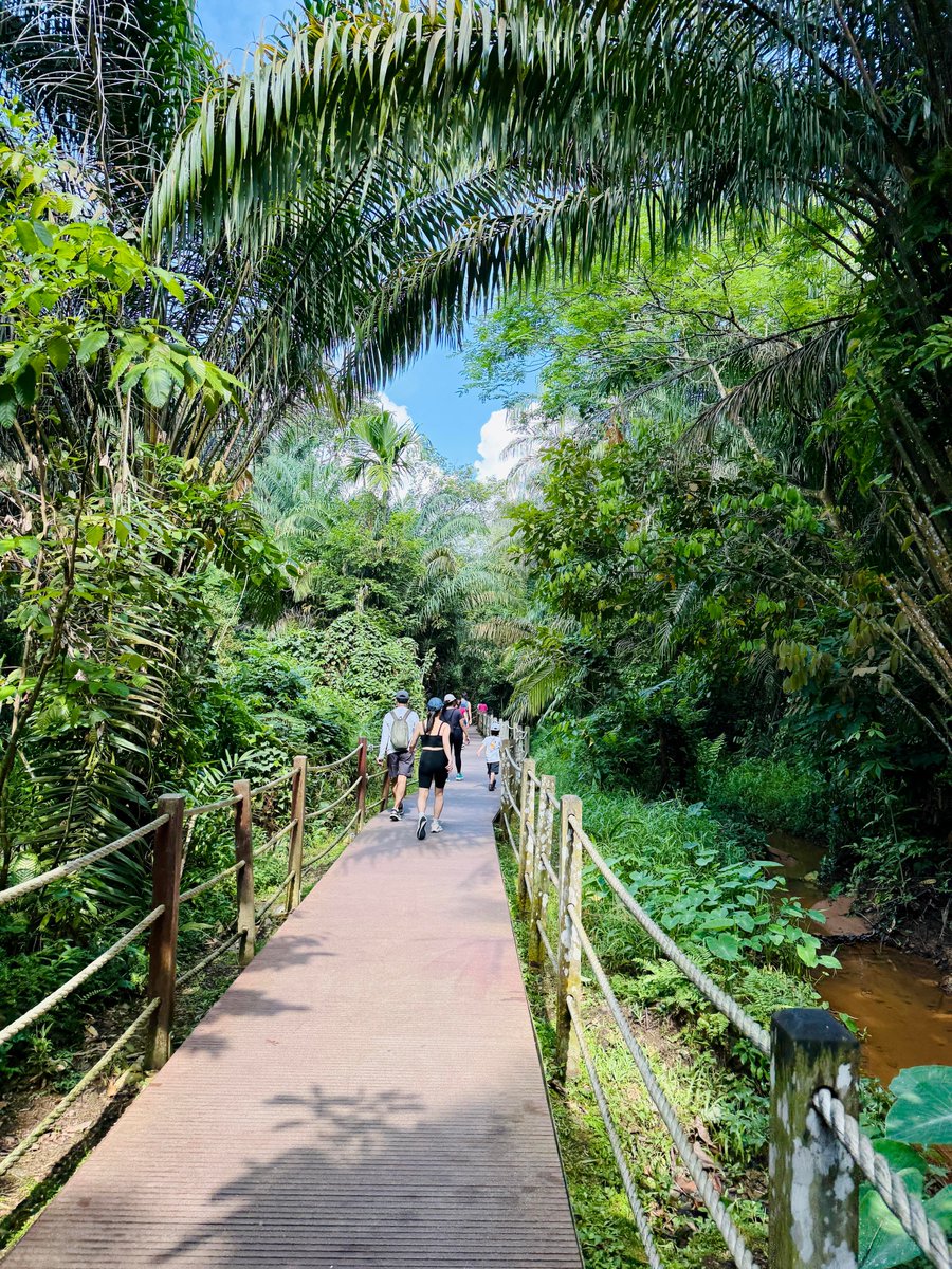 MilaDawnmd's tweet photo. Lost in the lush greenery of Windsor Nature Park. https://t.co/bHtheDQ9VX