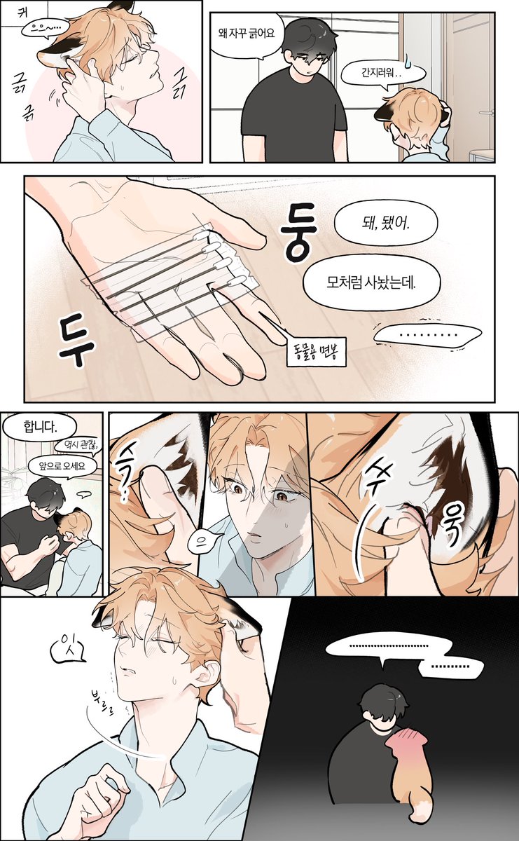 pushoversister's tweet photo. 여우랑 (인내심 많은) 그냥 공 https://t.co/AWsRygs9bG