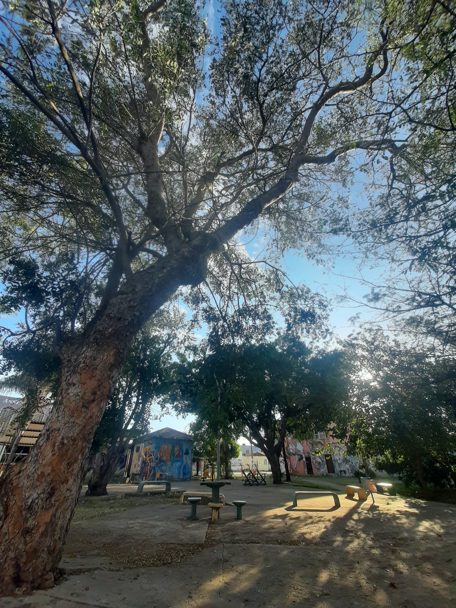 TKKONOY's tweet photo. Meu cérebro vai se lembrar desse lugar nos momentos finais. https://t.co/2Ifs0BeNQz