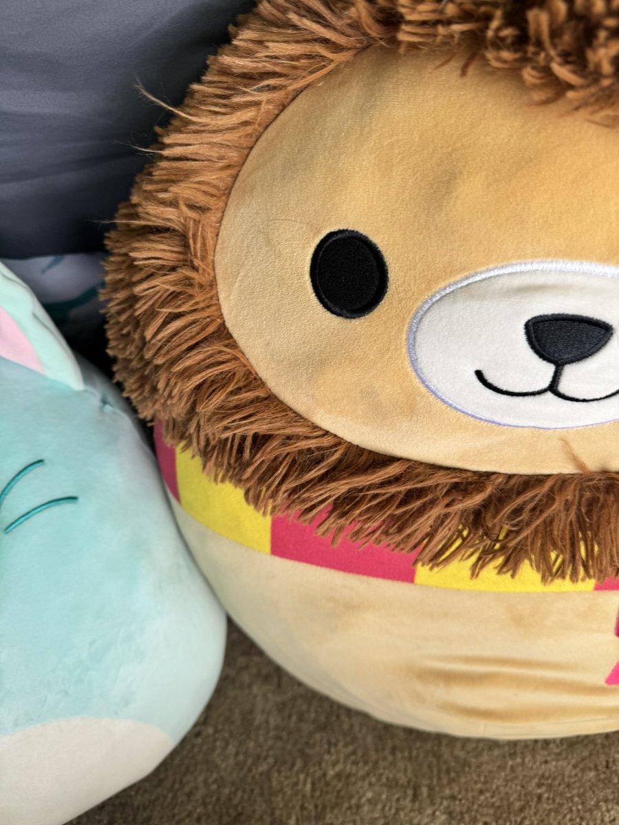 MommaRespawn's tweet photo. Got 2/3 beds made today, 

My youngest was so proud of him cleaning his room and bed so he took pictures! 

Enjoy! https://t.co/Kr5Vb5jvo4