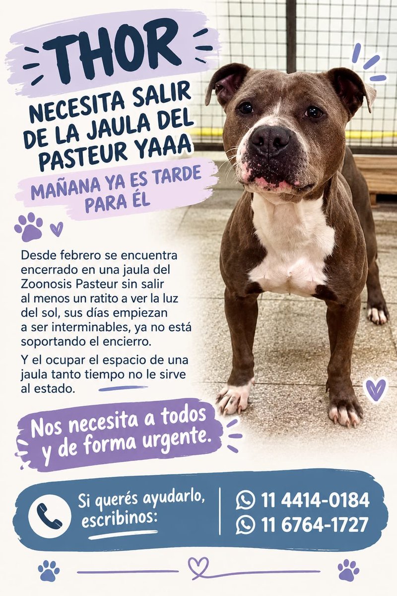 patripeyrou's tweet photo. Rt
Difundimos https://t.co/RIMxc8kzdR