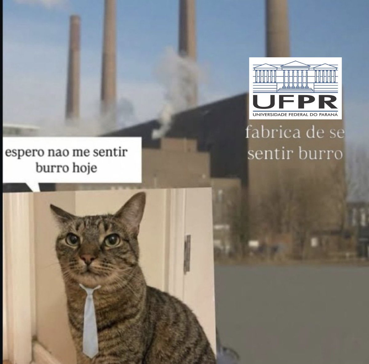 alrissx's tweet photo. obg ufpr https://t.co/C0Kthrs2iH