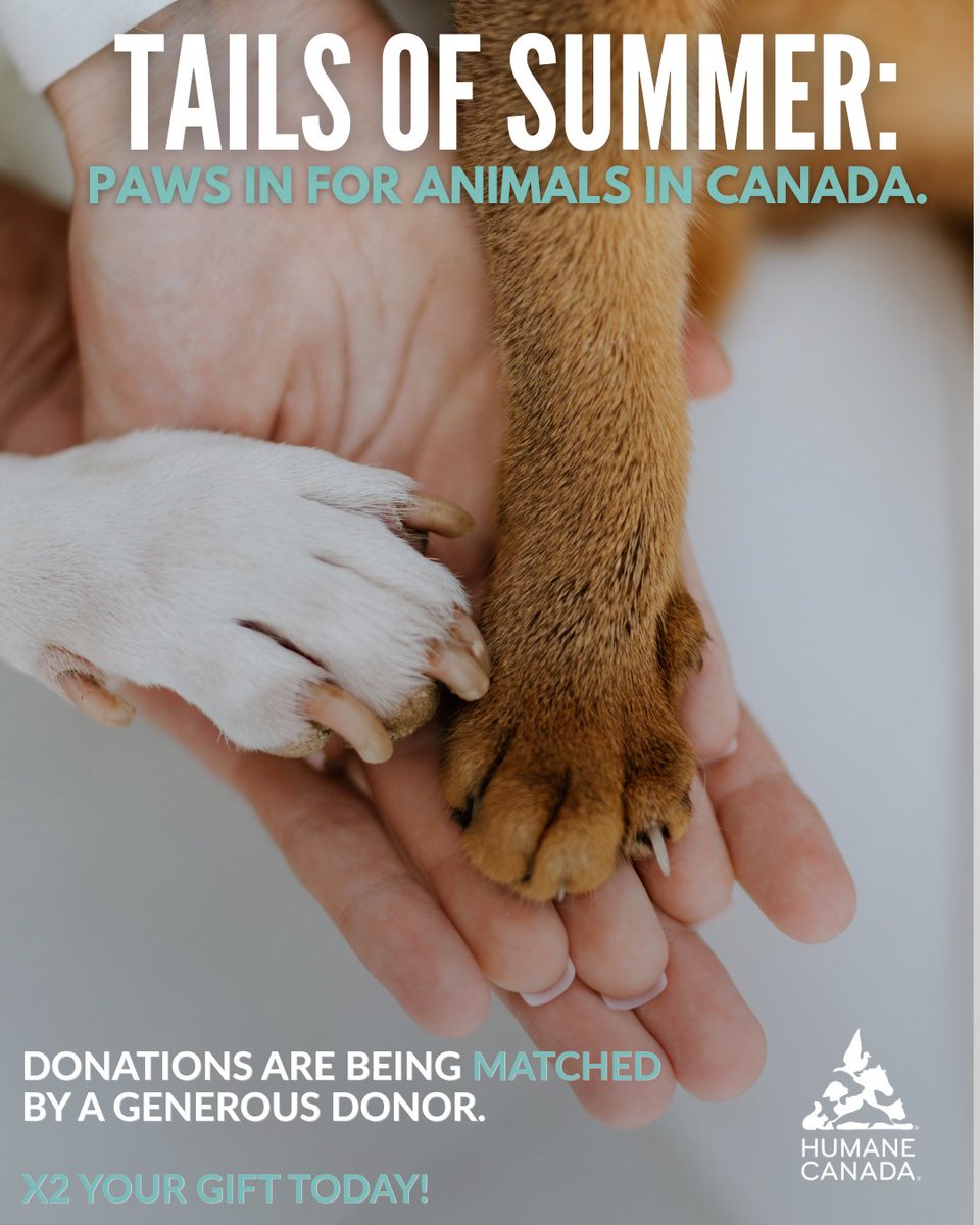 HumaneCanada's tweet photo. 🐾Only 2 days left to double your impact for animals in Canada! Each gift can help more animals when it’s matched! 🐶🐱

💙 Will you make a donation today to have your kindness doubled for animals across the country? https://t.co/WIKxPEuirz 🫶 https://t.co/kKDH1xcE2g
