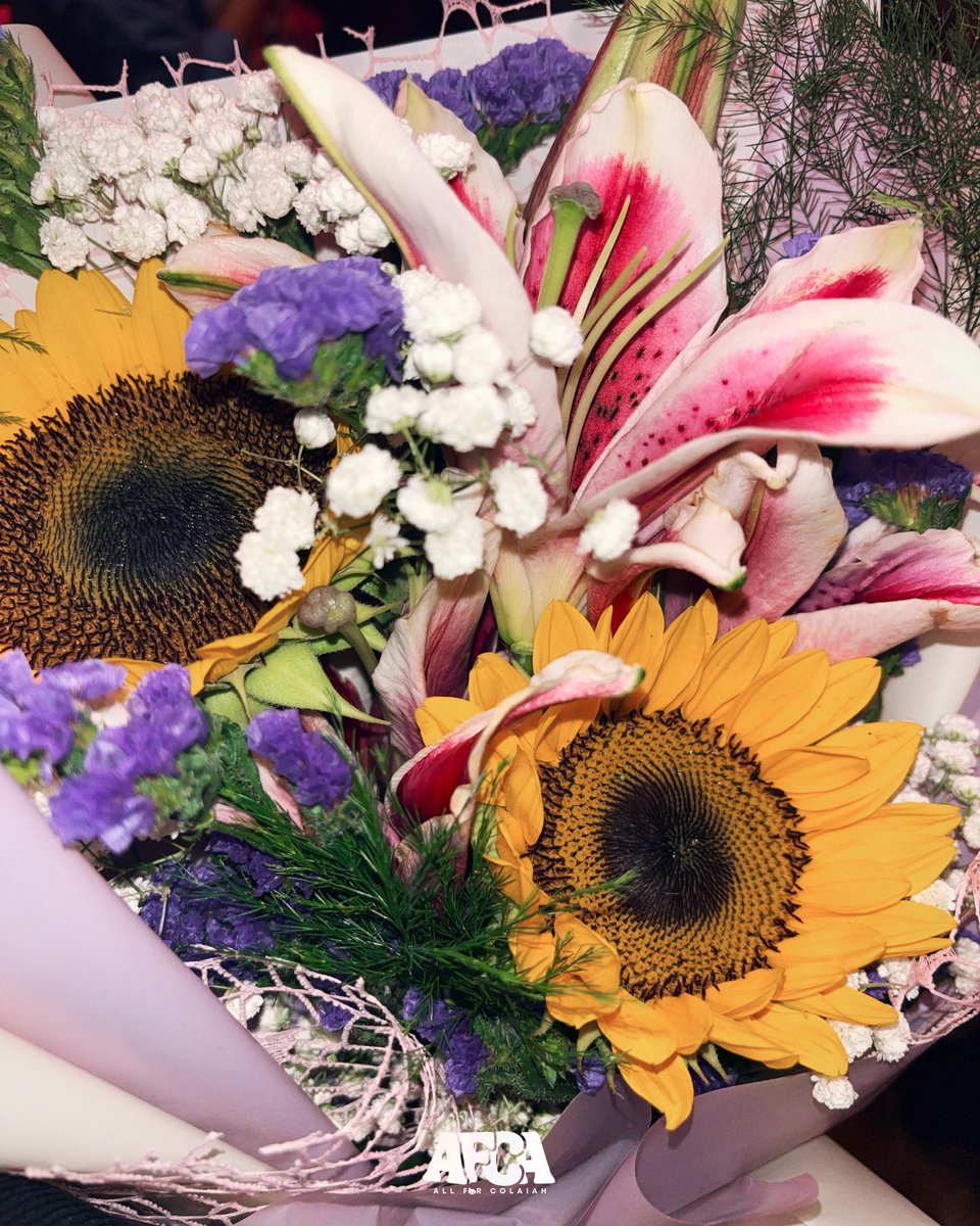 _allforcolaiah's tweet photo. Flowers to match the beauty you bring into the world every day 🌻🌷

We hope you love our simple gift for you our precious one, @bini_colet 🫀

#DIRColetskiii 
#AllForCOLAIAH https://t.co/N5PEsJ2so9